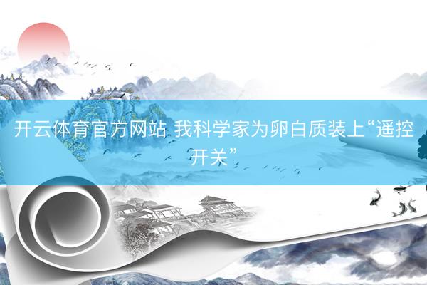 开云体育官方网站 我科学家为卵白质装上“遥控开关”