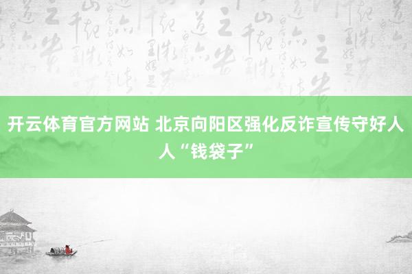 开云体育官方网站 北京向阳区强化反诈宣传守好人人“钱袋子”