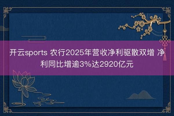 开云sports 农行2025年营收净利驱散双增 净利同比增逾3%达2920亿元